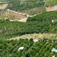 فروش باغ روستا ی دشتی