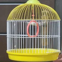 قفس کوچک پرنده