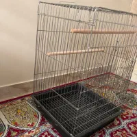 قفس پرنده|لوازم جانبی حیوانات|تبریز, |دیوار