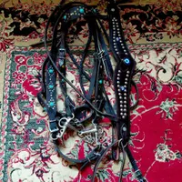 زین و کلگی