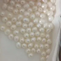 مروارید پرورشی اصل حدود قیمت توافقی   خرم آباد