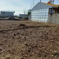 ۳۱۱ متر زمین در گیلان|فروش زمین و ملک کلنگی|سنگر, |دیوار