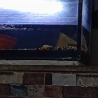 طبرسی شمالی ۳۸ بین طباطبایی ۳۲و۳۴