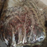 ضایعات خرما 15 تن