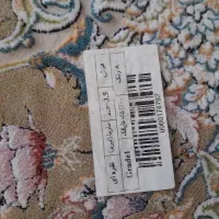 فرش ۹متری|فرش|قزوین, |دیوار