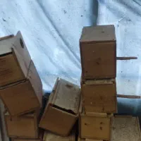 لونه مرغ عشق تعداد 25عدد دونه 100تمن