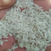 پخش برنج پاکستانی المیناره با کیفیت