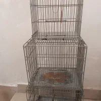 قفس سهره قناری