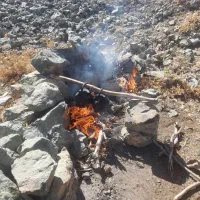 نیازمند استاد کار ویا شاگرد جلوبندی ویامکانیکی