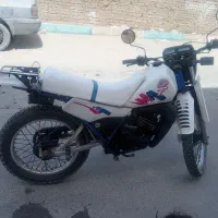 dt175