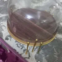 کاپ کیک