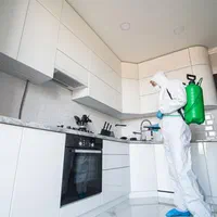 سمپاشی حشرات*موریانه زدایی سوسک ریز*سم پاشی اهواز|خدمات باغبانی و درختکاری|اهواز, کیانشهر|دیوار