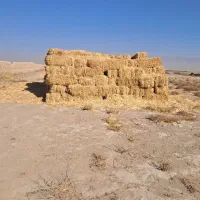 تعداد ۴۰۰عدد پرس کاه گندم به فروش میرسد