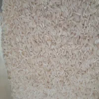 برنج عنبر بو محلی دره شهر