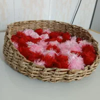 جا خواب حیوان خانگی