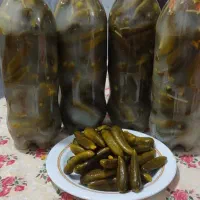 بطری خیار شور همدان