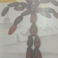 کتاب تست کنکور انسانی