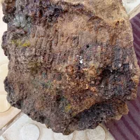 سنگ شجر|کلکسیون اشیاء عتیقه|ایجرود, |دیوار