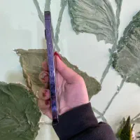 آیفون ۱۴ پرومکس با حافظه ۲۵۶ گیگابایت|موبایل|رشت, معلم|دیوار