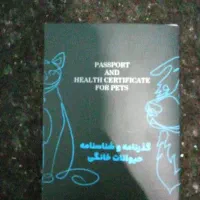 سگ خوشگل|سگ|کشکوئیه, |دیوار