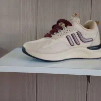 کفش۲|کیف، کفش، کمربند|داراب, |دیوار