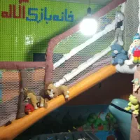 خانه بازی و مهد کودک آلاله افتتاح شد|خدمات آموزشی|قم, علی آباد سعدگان|دیوار