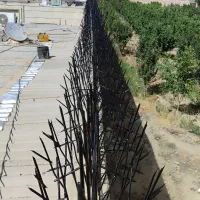 تولید کننده حفاظ شاخ گوزنی|خدمات پیشه و مهارت|تهران, خلازیر|دیوار