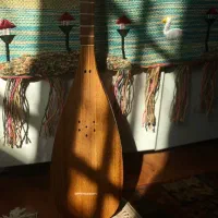 تنبور کاسه یک تکه