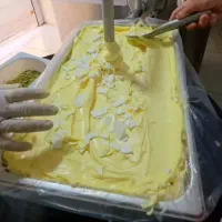 استخدام نیرو