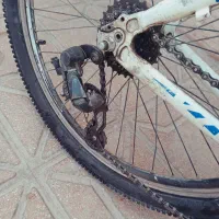 دوچرخه ویوا