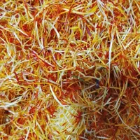 خامه زعفران|عمدهفروشی|کوزران, |دیوار