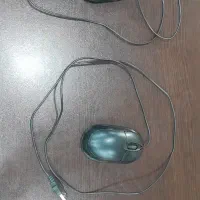 موس با سیم دو عددی