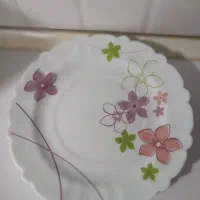 ۶عدد بشقاب آرکوپال