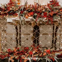 فروش سازه و صندلی مهمان مراسم عروسی|خدمات پذیرایی، مراسم|رشت, انصاری|دیوار