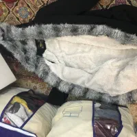 پالتوزنانه|لباس|تهران, امیریه|دیوار