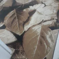 گلیم فرش|گلیم، جاجیم، گبه|بروجرد, |دیوار