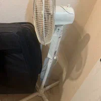 پنکه ایستاده|پنکه و تصفیه‌کنندهٔ هوا|رشت, کاکتوس|دیوار