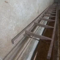 نردبان ۴ونیم متر|مصالح و تجهیزات ساختمان|خرم‌آباد, |دیوار