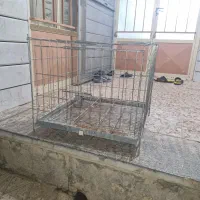 قفس جفتی تاشو