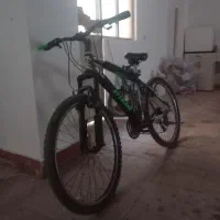 دچرخه سالم ونو