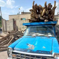 چوب‌کهنه ی سقفی و انواع درخت سرپا با قیمت مناسب