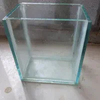 آکواریوم ماهی  زبرا و کوپی