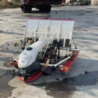 نشا کار یانمار