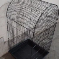 قفس پرنده