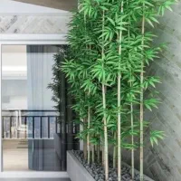 شاخه بامبو تکی پارتیشنی کاملا با تنه طبیعی و پرحجم