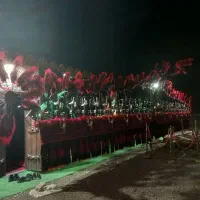 شاه علامت علم بزرگ محرم قدیمی قدمت دار