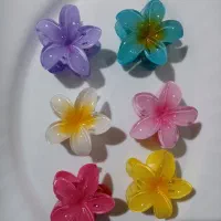 تمامی پلومریا ها ۶ سانتی فقط و فقط 30 هزار تومان|زیورآلات و اکسسوری|فیروزکوه, |دیوار