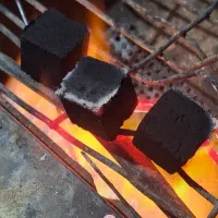 زغال حبه ای|عمدهفروشی|چهارباغ, |دیوار