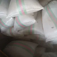 چلتوک بذری