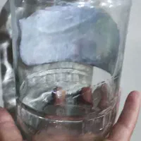 شیشه رب|ظروف نگهدارنده، پلاستیکی، یکبارمصرف|گرگان, |دیوار